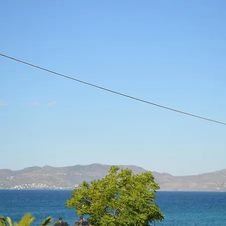 Saronic View *